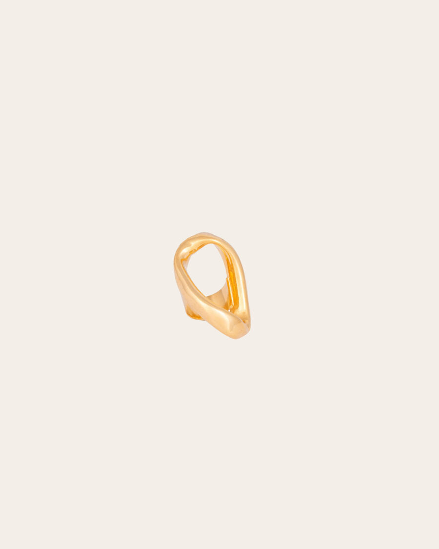 ANILLO PADUA